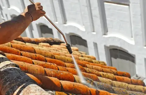Nettoyage de toitures - Catenay